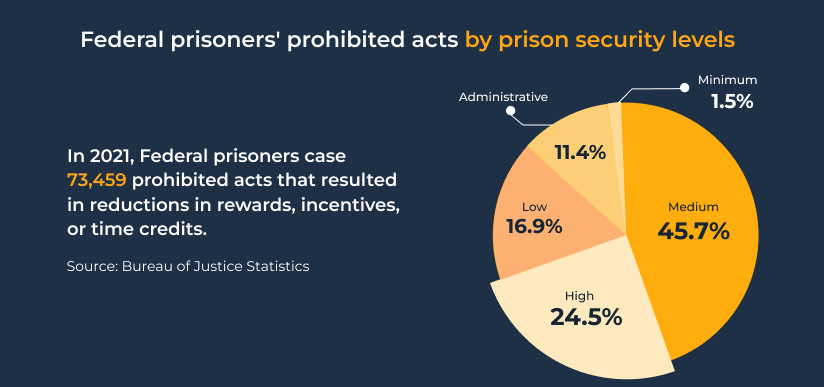 inprisonment statistics prison vs jail